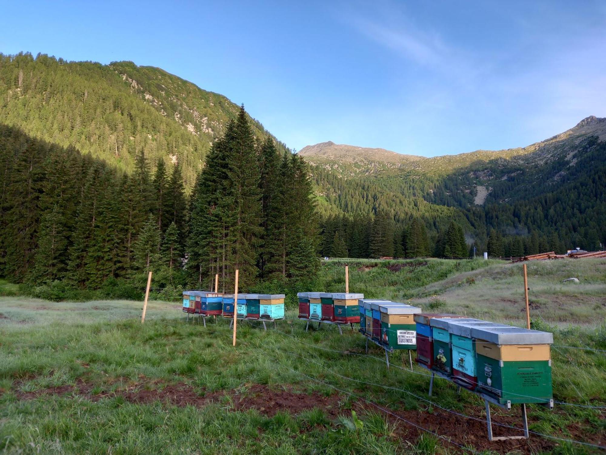 Agritur Ca' De Mel Villa Fiavè Exteriör bild